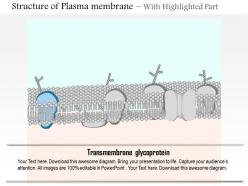 0914 structure of plasma membrane medical images for powerpoint