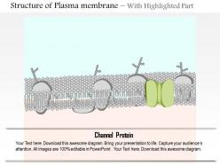 0914 structure of plasma membrane medical images for powerpoint