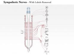 0914 sympathetic nerves medical images for powerpoint