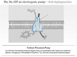 0914 the na k atpase an electrogenic pump medical images for powerpoint