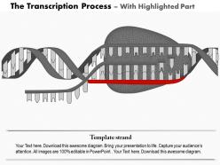 0914 the transcription process medical images for powerpoint
