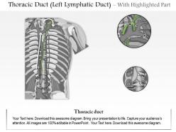 0914 thoracic duct left lymphatic duct medical images for powerpoint