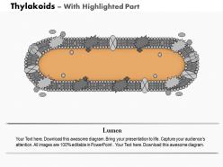 0914 thylakoids medical images for powerpoint