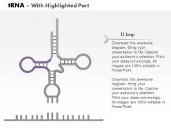 0914 trna medical images for powerpoint