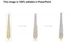 0914 vertebral column medical images for powerpoint