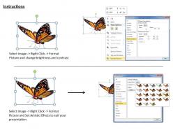 1013 3d render of butterfly ppt graphics icons powerpoint