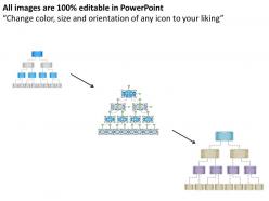 58789864 style hierarchy flowchart 1 piece powerpoint presentation diagram infographic slide