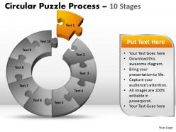 10 Components Circular Diagram Puzzle Process 6