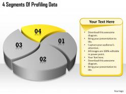 1113 business ppt diagram 4 segments of profiling data powerpoint template