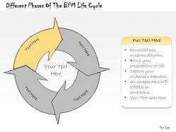 1113 business ppt diagram different phases of the bpm life cycle powerpoint template