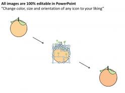 1113 business ppt diagram one orange in apples powerpoint template
