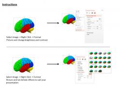 1114 3d multicolored brain for medical use image graphics for powerpoint