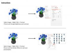 1114 blue flower bunch in black pot image graphic for powerpoint