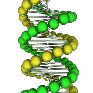 1114 green and yellow dna design for medical study stock photo