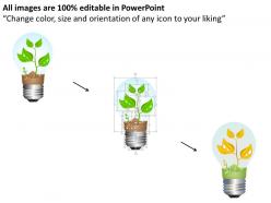 1114 green plant in pot for environment safety powerpoint template