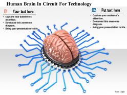 1114 human brain in circuit for technology image graphics for powerpoint