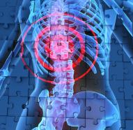 1114 human spine in x ray blue background stock photo