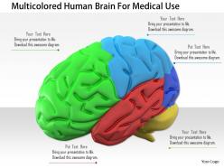 1114 multicolored human brain for medical use image graphic for powerpoint