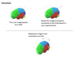 1114 multicolored human brain for medical use image graphic for powerpoint