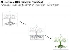 1114 tree network diagram powerpoint presentation