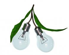 1114 two glass bulbs for electricity stock photo