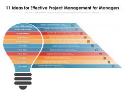 11 ideas for effective project management for managers