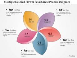 1214 Multiple Colored Flower Petal Circle Process Diagram Powerpoint Template