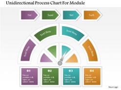 1214 Unidirectional Process Chart For Module Powerpoint Template