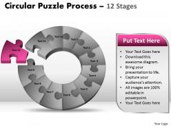 79611856 style division pie-donut 12 piece powerpoint template diagram graphic slide