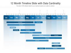 12 month timeline slide with data cardinality infographic template