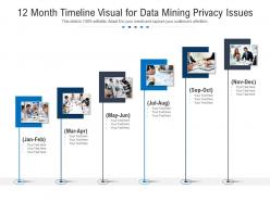 12 month timeline visual for data mining privacy issues infographic template