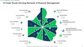 12 Puzzle Thumb Showing Elements Of Financial Management