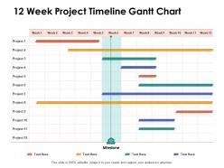 12 week project timeline gantt chart ppt powerpoint presentation show inspiration