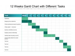 12 weeks gantt chart with different tasks