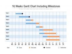 16 Weeks Gantt Chart Including Milestones