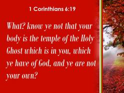 1 corinthians 6 19 you are not your own powerpoint church sermon