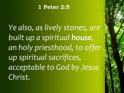 1 peter 2 5 you also like living stones powerpoint church sermon