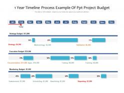 1 year timeline process example of ppt project budget