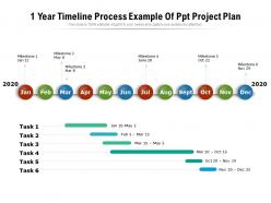 1 year timeline process example of ppt project plan