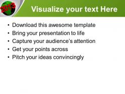 2013 on earth new year powerpoint templates ppt themes and graphics 0113
