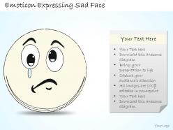 2502 Business Ppt Diagram Emoticon Expressing Sad Face Powerpoint Template