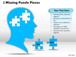 2 missing puzzle pieces