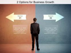 2 options for business growth