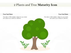 2 plants and tree maturity icon