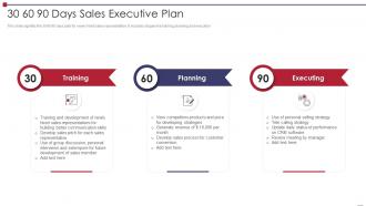 30 60 90 Days Sales Executive Plan