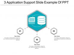 3 application support slide example of ppt