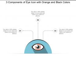 3 components of eye icon with orange and black colors