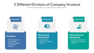 3 different divisions of company structure