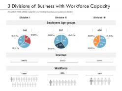 3 divisions of business with workforce capacity