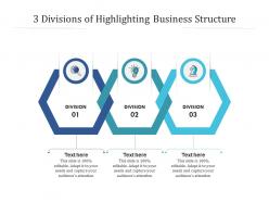 3 Divisions Of Highlighting Business Structure